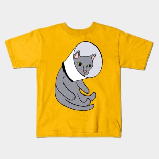 Cat in a Cone Kids T-Shirt